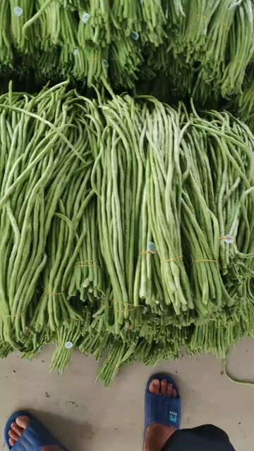 豆角