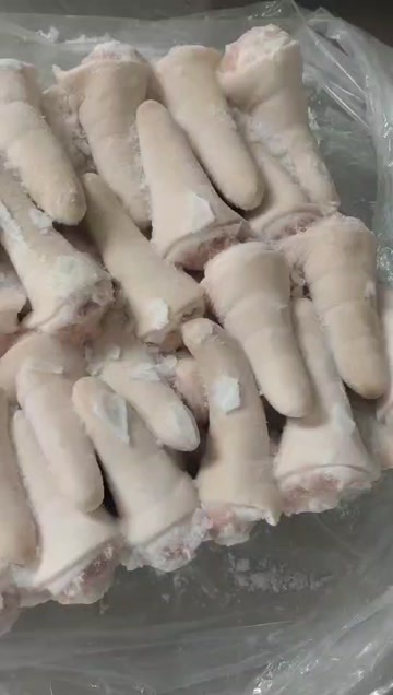 商丘肥猪短尾