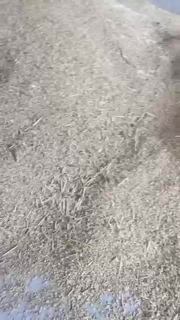 唐河县河南湿麦
