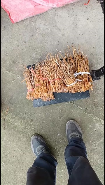 衡阳县小笋干，太阳晒干的小竹笋，又有柴火烤好笋子。欢迎各位大佬品尝