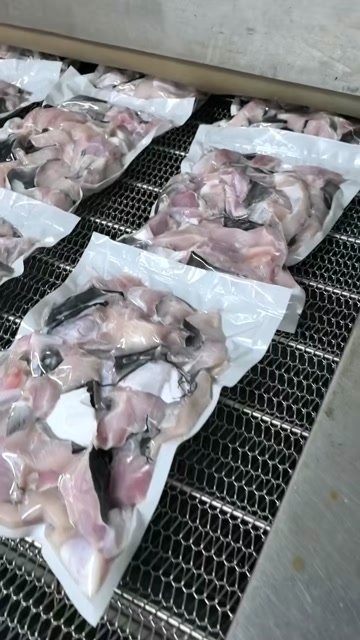 郑州清江鱼大切块/鮰鱼大切块，净重5斤一包，一箱5大包