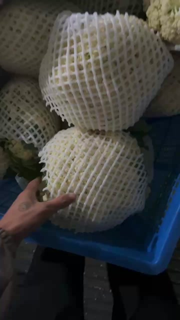 绿杆花