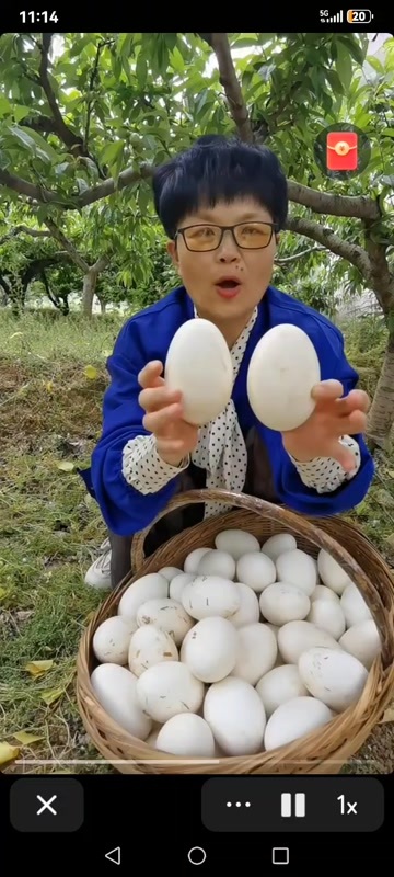 巴中鲜鹅蛋