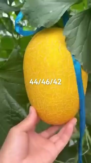 托克逊县精品