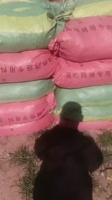 连平县广东河源连平县优质鸽粪有机肥 农作物增产、鱼塘肥水好帮手