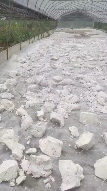 渠县纯红薯淀粉