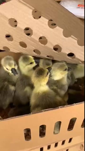 沛县货源充足，品种齐全