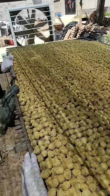 商水县河南鸡皮蛋黄金皮蛋厂家直销
