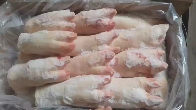 沂南县母猪带筋猪蹄，10-13个