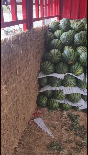 大荔县陕西甜王，4k等各种西瓜