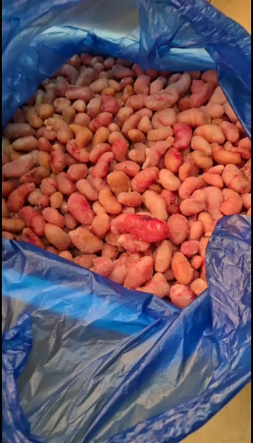 鲜冻本地鸡腰、鸡籽、公鸡蛋中号颗粒