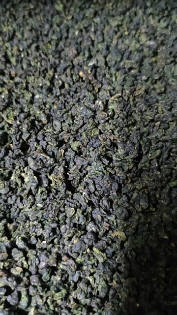 漳州刚刚烤好今年的春茶