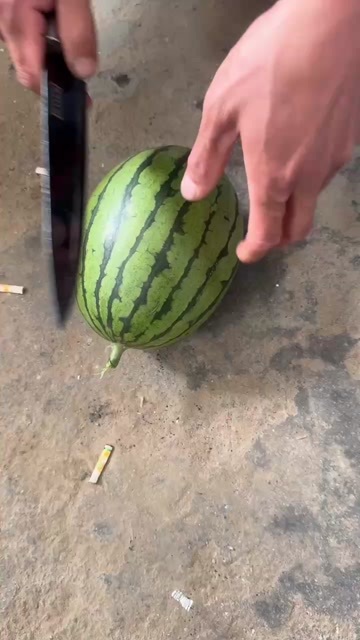 保定保定清苑礼品西瓜大量供应中