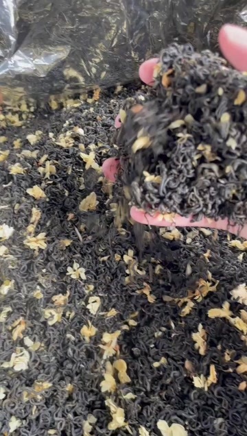 松阳县茉莉绿茶