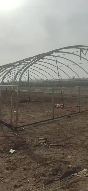 天津此款大棚抗风能力强，安装方便 采用热镀锌钢管加工 ，防腐防锈