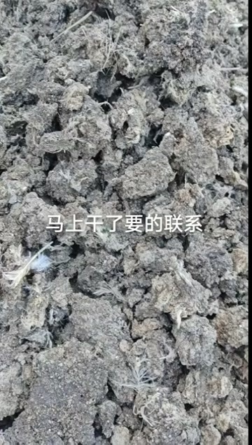 行唐县干鸡粪发酵鸡粪