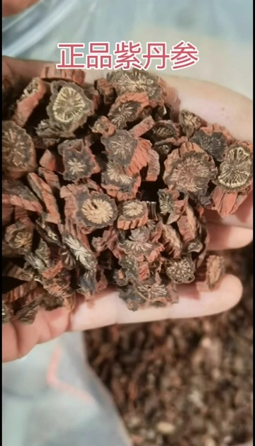 陇西县正品紫丹参 产量少价值高 中江无硫丹参片 泡水 煲汤 泡酒