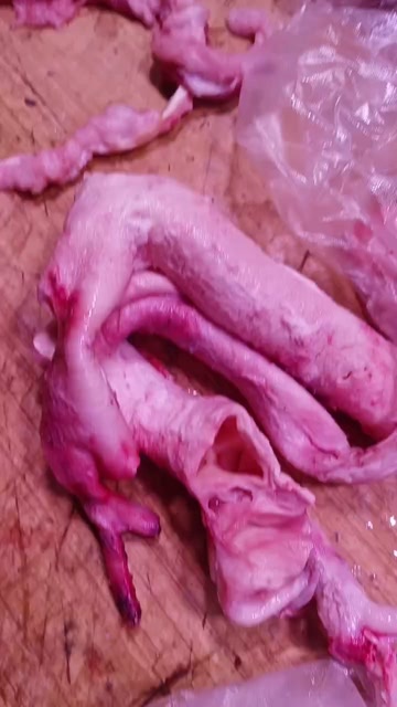 牛心管，长期供货
