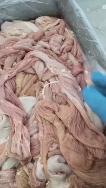 锡林浩特牛大肠