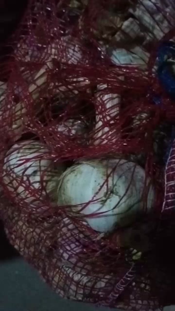 曹县山东菏泽曹县新鲜紫皮蒜 天然健康食材 厨房必备调味佳品
