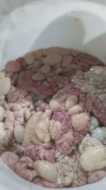 桂林猪大肠批发