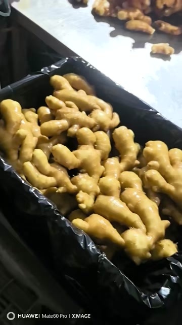 沂水县山东临沂大姜批发产地，保质保量，全国发货