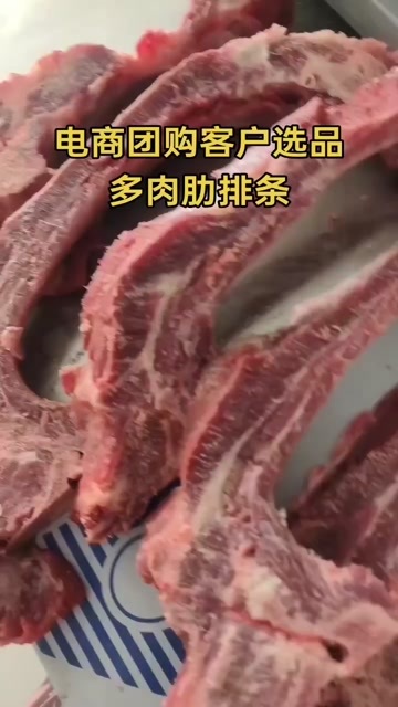 临沂多肉肋排条