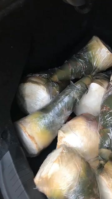 张家港市麻竹笋