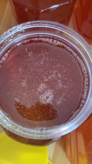 酸枣蜜