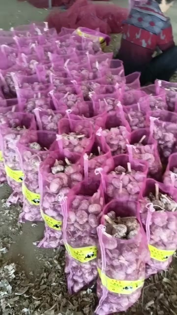卫辉市紫皮蒜