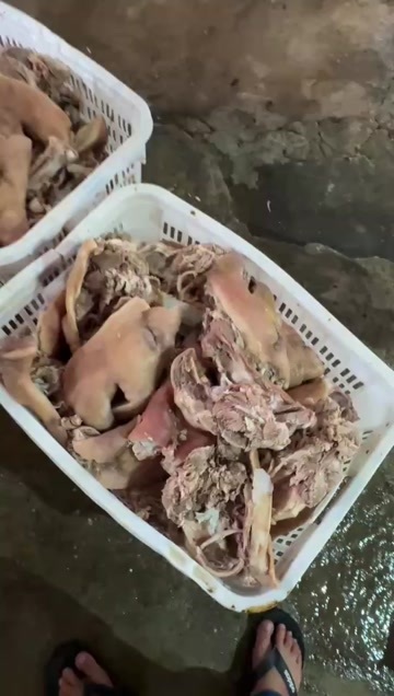 高州市猪连块（猪头肉）