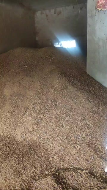 内江四川内江熟榨黄饼