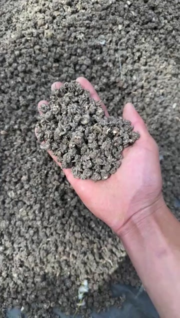 猫爪草，规格齐全，干净饱满，一手货源，产地直发