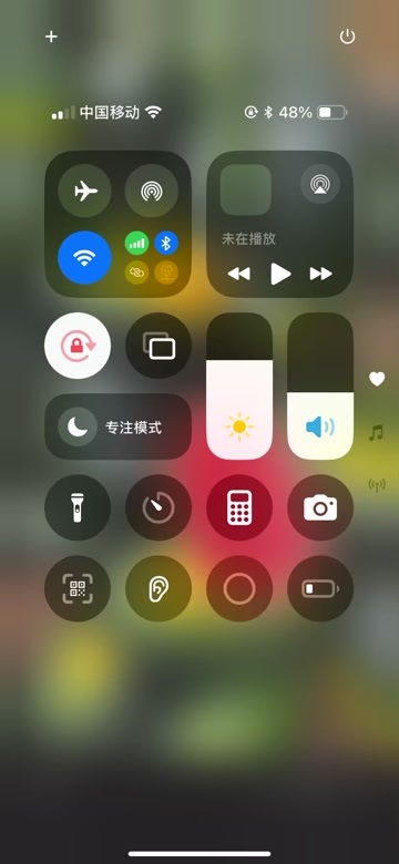横州市西瓜黑美人花瓜