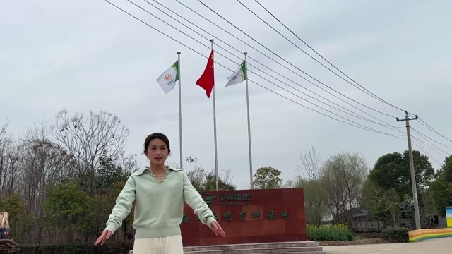 永强鸭苗 包疫苗接种 好养活提供技术指导 检疫合格 支持开票
