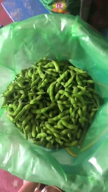 安徽毛豆大量有货，价格便宜。欢迎定购。打酱油的绕道。