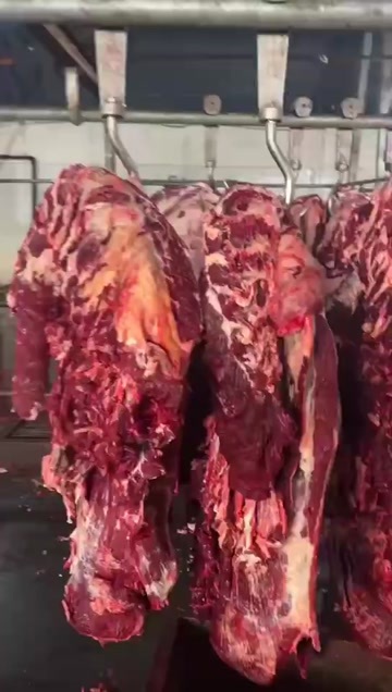 昆明云南昆明新鲜国产整切牛腱子肉 精选优质牛肉 盘龙区发货