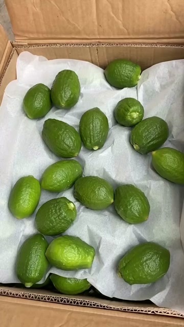 南宁每日可供应2w斤广东香水柠檬