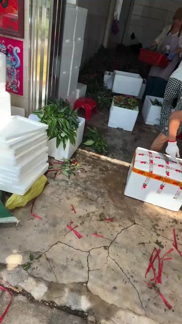 高州市荔枝