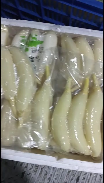 水果藕