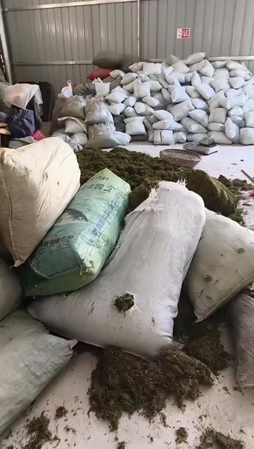 平塘县贵州天然水苔，青苔一手货源厂家直销