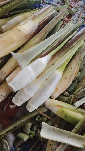 茭白，新鲜采摘，现货供应，精品及电商有量供应