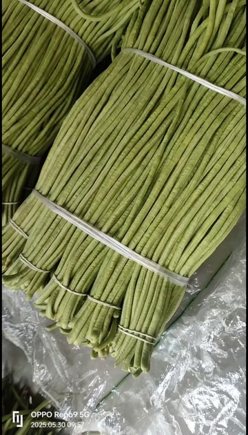 淮安长豆角