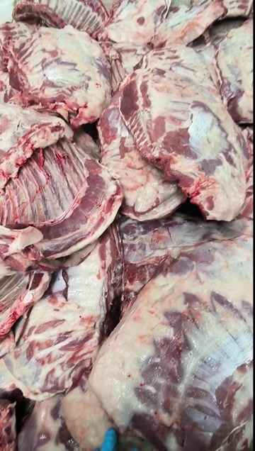 河间市去云皮羔羊肉排，质量高