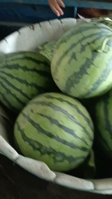 绍兴美都