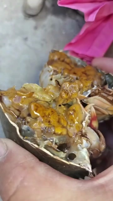 鲜活青蟹 直供 当日发货 新鲜美味 锁住海洋滋味