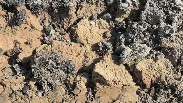 菏泽北方湿土豆渣