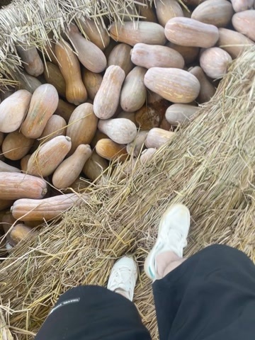 精品小瓜
