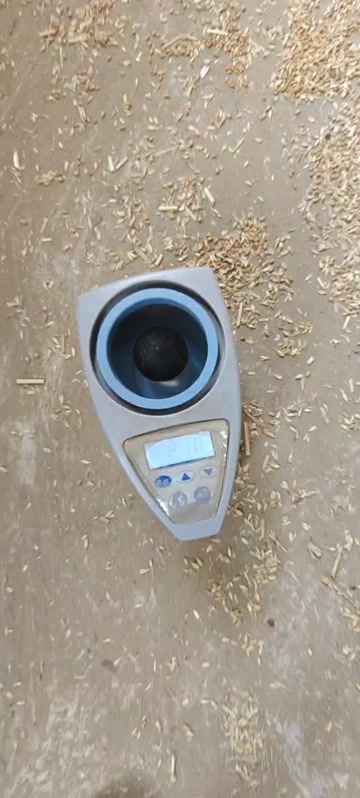 高品质小麦，今年新产，水分少
