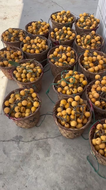 甜度高，果型漂亮个大，汁水充足